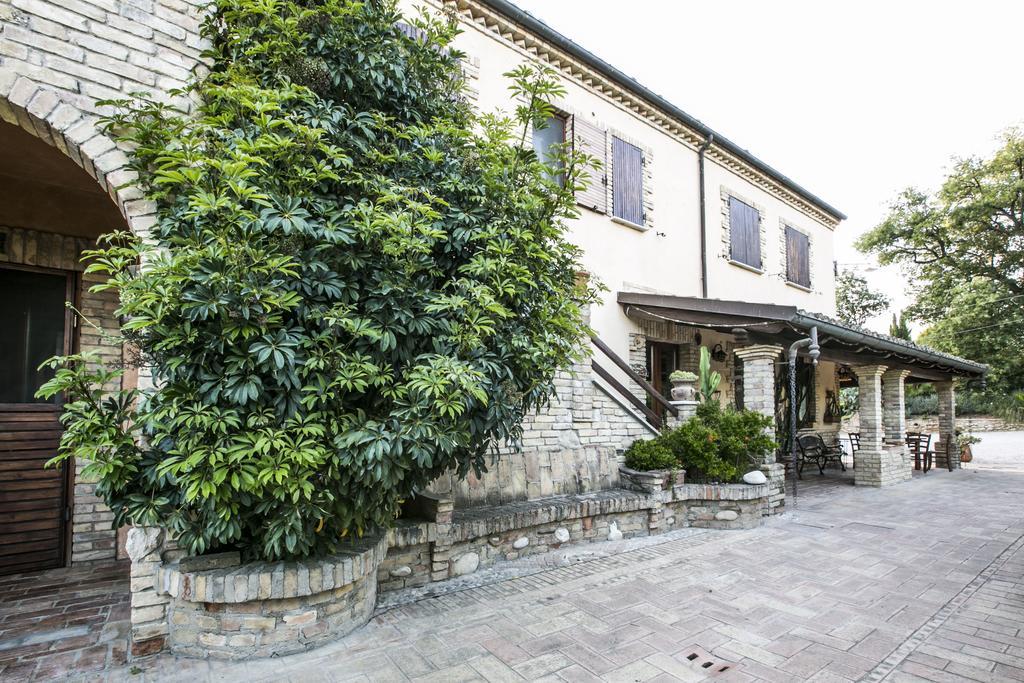לינה וארוחת בוקר פינטו Agriturismo Col Morino מראה חיצוני תמונה