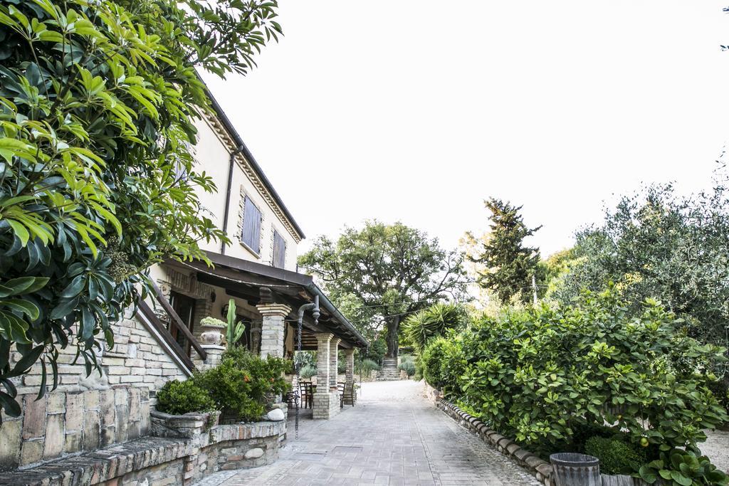 לינה וארוחת בוקר פינטו Agriturismo Col Morino מראה חיצוני תמונה